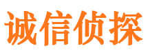 定陶侦探调查公司